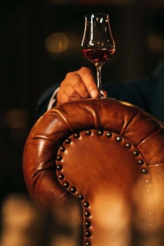 De Luze XO Fine Champagne Cognac (1 x 0.5 l)