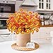 8 Bundles Artificial Daisy Flowers for Outdoors Spring Decor, UV Resistant Faux Cemetery Flowers Plastic Greenery Shrub Fake Flowers Plants Home Gardens Porch Planter Indoor Summer Fall Decor(Orange)