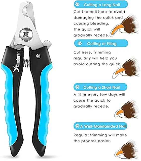Candure Dog Nail Clippers and Trimmer with Safety Guard to Avoid Over-Cutting Toe Nails Professional Grooming Pet Nail Clipper with Nail File for Small Medium-Large Breeds-29WAw3mG