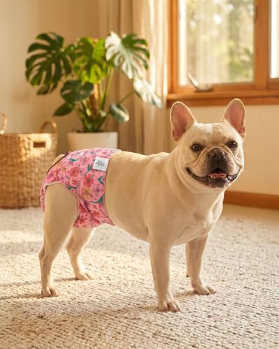 Image of CuteBone Washable Female Dog Diapers 4 Pack Reusable Doggie Heat Diapers for Period FMG08XS