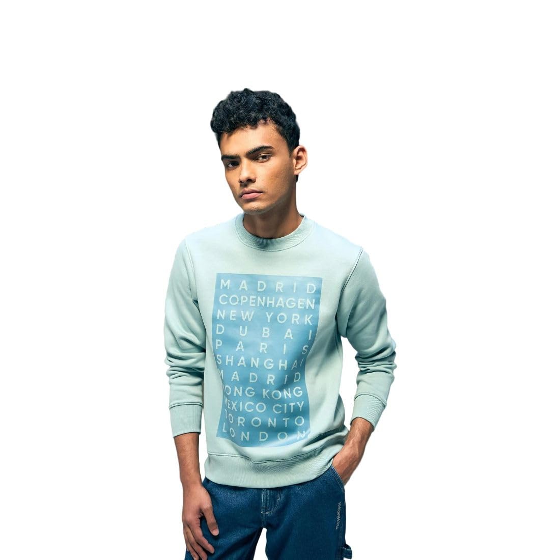 flying machine Men's Regular Fit Sweatshirt| Printed-picture-21