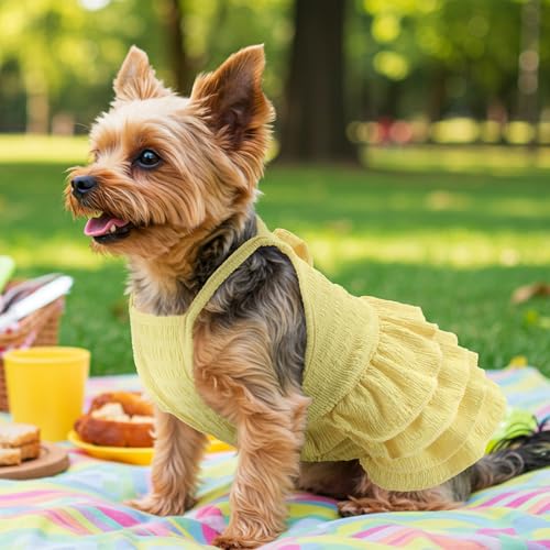 LyssKMK 3Pcs Dog Summer Dresses Dog Camisole Dress with Tiered Skirt Pet Tiered Dress Summer Spring Clothes Pullover Vest Skirt for Small Medium Dogs L