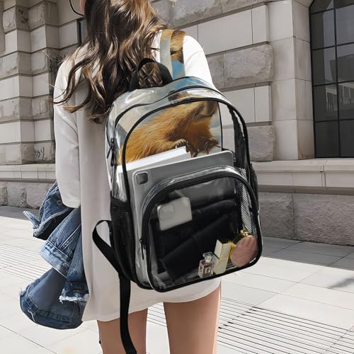 Capybara Bike Funny Clear Backpack, PVC Transparent Bag with Large Capacity for Boys, Girls, Men, Women, See Through Bookbag for School Work College Travel4