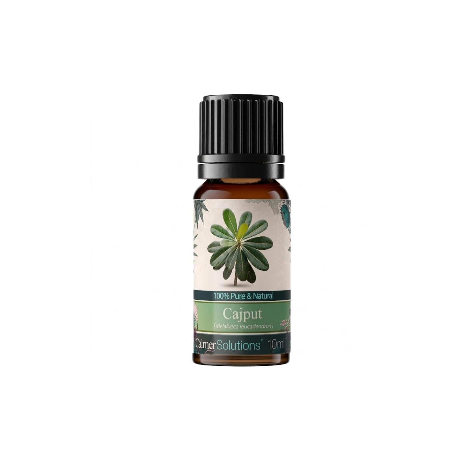 Calmer Solutions Pale Yellow Cajeput (Cajput, Cajuput) Aromatherapy Oil 10Ml