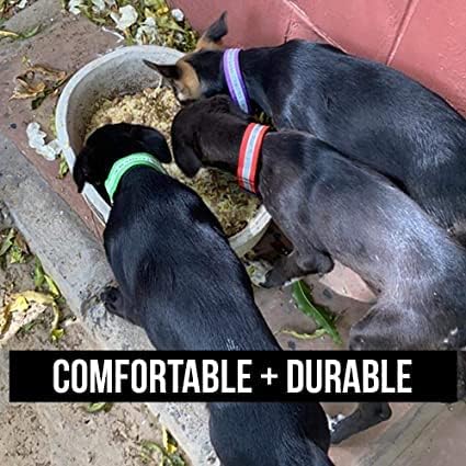 0 Agirav Reflective Dog Collar For Small, Medium, Large Dogs, Super Light Weight Collars With Adjustable Length And Heavy Duty Metal D Ring (Pack Of 5, Multicolor),15 cm,W_5 cm (Image - 5)