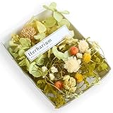 花材セット 手芸クラフト ハーバリウム 花材 ドライフラワー プリザーブドフラワー アロマワックスサシェ スプリンググリーン