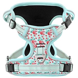 Timos Dog Harness, No-Pull Pet Harness with 2 Leash Clips, 3 Snap Buckles Adjustable Soft Padded Dog Vest, Reflective No-Choke Pet Oxford Vest with Easy Control Handle for Small Medium Large Dogs