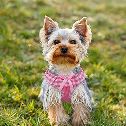 Expawlorer Small Dog Harness Girl - Cute Dog Harness For Female Dogs, Soft Mesh Breathable Vest Harness With Lovely Ribbon For Puppies, Easy Adjustable Step-In Female Dog Harness For Outdoor Walking #TOP7