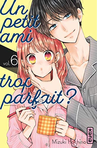 Un petit ami trop parfait — Tome 6