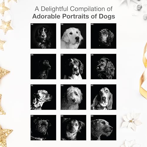 Image of RED EMBER Portraits of Dogs 2026 Wall Calendar 12 Month | 12 inch x 24 inch Open | Thick & Sturdy Paper | Giftable | Art Cute Puppy Dog Calendar 2026