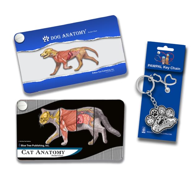 Amazon.co.jp: 犬と猫のセット、獣医解剖学ポケットチャート、解剖学