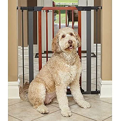 image for MidWest Homes for Pets 39-Inch Tall Pet Gate with Textured Graphite Fr