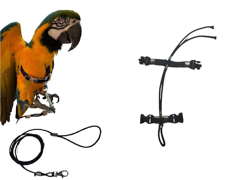 Petorina loros elástica de 3 mm para evitar escapes durante el vuelo exterior
