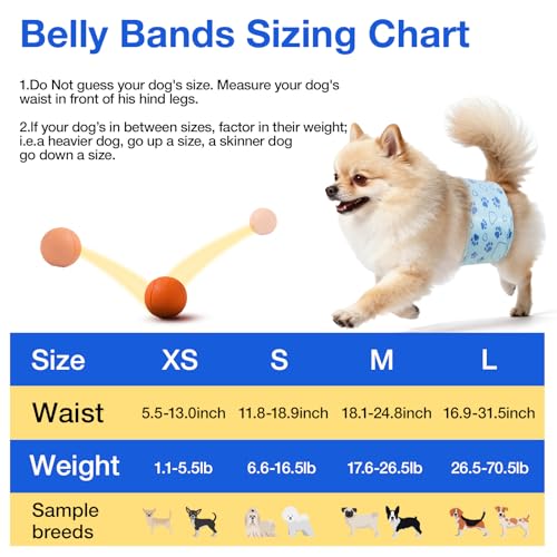 Image of Dog Diapers Male Disposable, Belly Bands for Male Dogs, S 52pcs