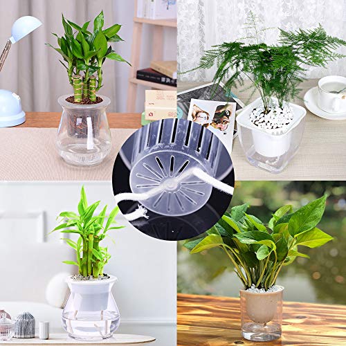 Sonku Self Watering Wick Cord, 80 Feet Cotton String Rope for Self-Watering Planter Pot DIY Automatic Watering Device System Potted Plant Sitter Auto Drip Irrigation Waterer