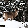 2025wallcalendarcalendar2025january2025december2025wallcalendarwhitetaildeer12x24openedfullpagemonthsthicksturdypaperforgiftperfectcalendarorganizingplanning  Urban Country Home Decor 2025 wall calendarcalendar 2025 january 2025 december 2025 wall calendar whitetail deer 12 x 24 openedfull page months thick sturdy paper for gift perfect calendar organizing planning  urban country home decor
