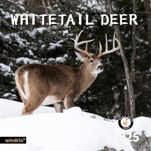2025wallcalendarcalendar2025january2025december2025wallcalendarwhitetaildeer12x24openedfullpagemonthsthicksturdypaperforgiftperfectcalendarorganizingplanning  Urban Country Home Decor 2025 wall calendarcalendar 2025 january 2025 december 2025 wall calendar whitetail deer 12 x 24 openedfull page months thick sturdy paper for gift perfect calendar organizing planning  urban country home decor