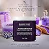 Lavender Oil Body Scrub Exfoliator with Shea Butter and Grapefruit Oil by Majestic Pure - Exfoliate & Moisturize Skin, Fights Acne - 10 oz