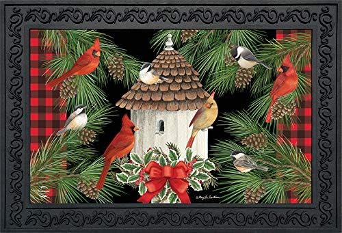 Briarwood Lane Holiday Bird Gathering Doormat Welcome Indoor/Outdoor 30" x 18"