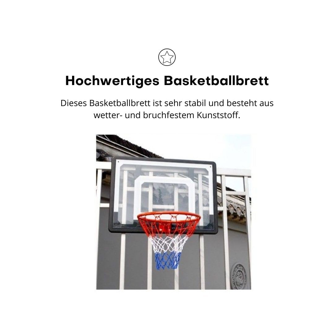 Pegasi Basketballbrett 82x58cm