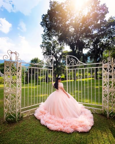 Sparkly Tulle Quinceanera Dresses Off Shoulder Ball Gowns Beading Lace Appliques Layered Sweet 16 Dresses 20244