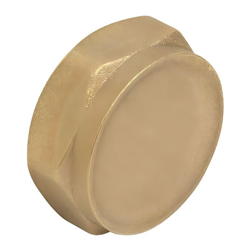 Capuchon fileté en laiton 2,5 cm lot de 10 obturateurs de tuyau femelle