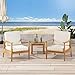 Christopher Knight Home Felix Outdoor Acacia Wood Club Chair (Set of 2), Teak Finish, Beige