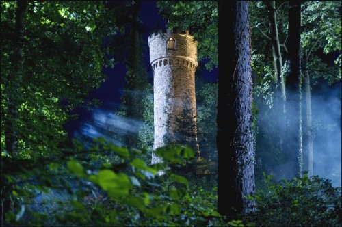 Rapunzel - 6 auf einen Streich