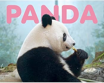 みんと様 2025年パンダ 3枚 みんと様 2025年パンダコイン 3枚 みんと様 2025年パンダコイン 3枚