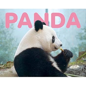 壁掛け飾り　新品　パンダ竹連画。送料無料　壁掛け輪 壁掛け飾り 新品 パンダ竹連画。送料無料 壁掛け輪