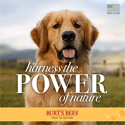 Burt's Bees For Pets Tearless Puppy Shampoo With Buttermilk, 32Oz | Puppy & Dog Shampoo | Cruelty Free, Paraben & Sulfate Free Shampoo, Natural Shampoo For Dogs, Dog Wash, Dog Soap, Pet Shampoo #TOP5