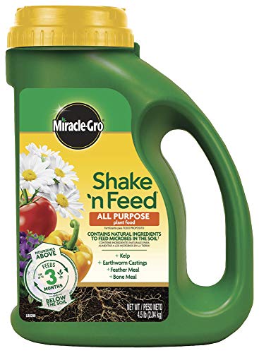 Miracle-Gro 3001910 Shake 'N Feed All Purpose Continuous Release Plant Food | ðŸ‡ºðŸ‡¸ Made in USA