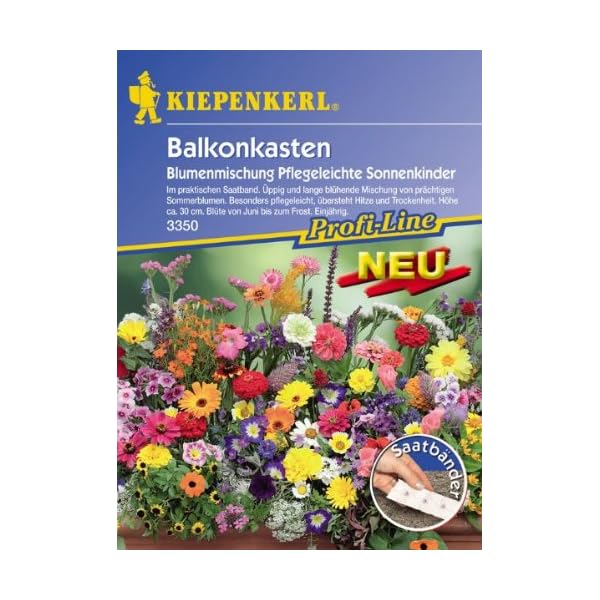 Kiepenkerl Blumenmix Pfl.Sonnenkinder