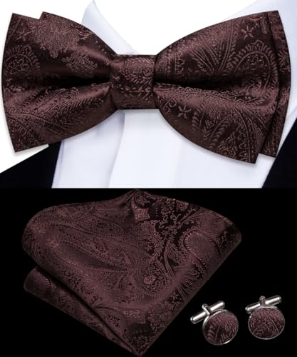 Image of Dubulle Mens Paisley Striped Bowtie Set Pre-tied Bowtie for Men and Pocket Square Set Wedding Business