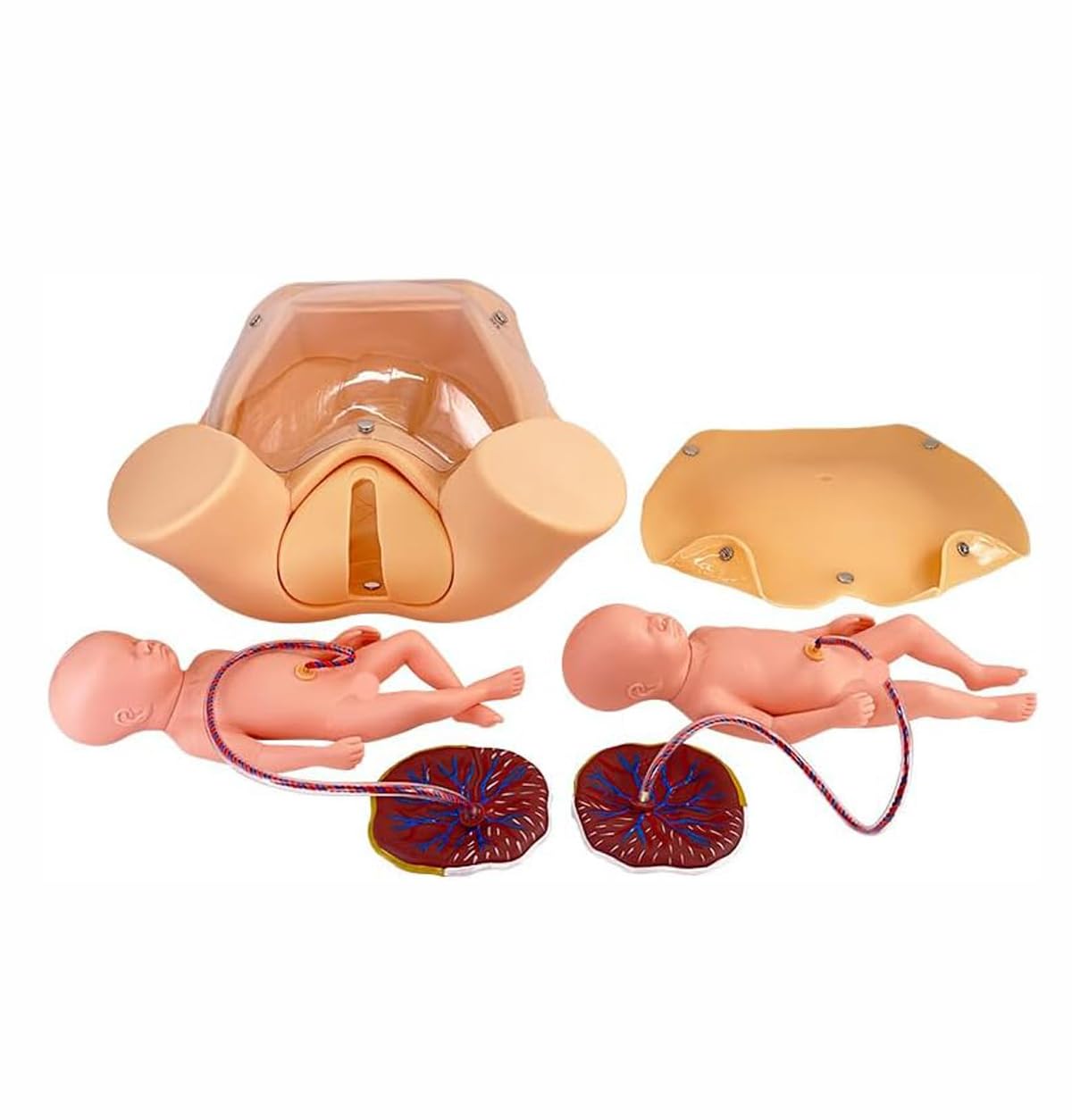 Symulator porodu model miednicy do demonstracji porodu, naturalny rozmiar anatomiczny model miednicy, forma do nauczania macicy dziecka