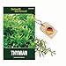 Produktbild Thymian Deutscher Winter Samen - Thymus vulgaris - Thymiansamen - Kräutersamen - Saatgut für 150 Pflanzen