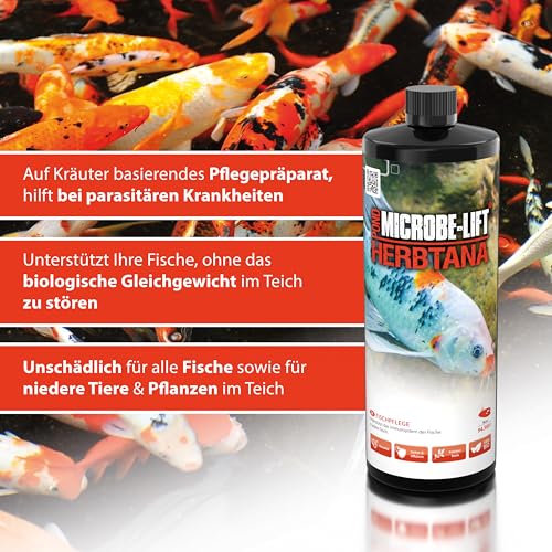 ARKA Pond Herbtana - 946 ml - Natürliches, kräuterbasiertes Mittel zur Stärkung des Immunsystems von Teichfischen, unterstützt gesunde Fischpopulationen.