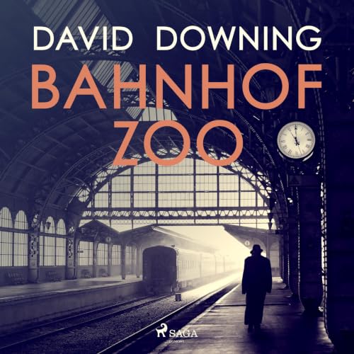 Bahnhof ZOO copertina