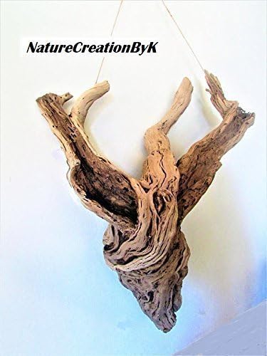 Extra Large Driftwood wall art, 33" inch x26" inch Driftwood wall sculpture, Driftwood centerpiece, Nature creation