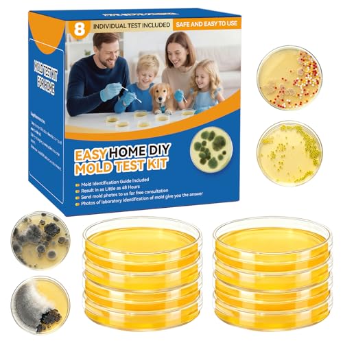 Home Mold Test Kit with Air & Surface Detection