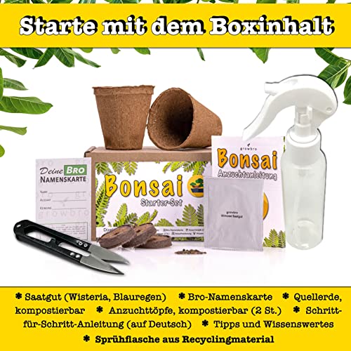 Bonsai Anzuchtset von growbro - ZÜCHTE DEINEN EIGENEN BONSAI BRO, Bonsai Starter Kit inkl. Samen, Sprühflasche, uvm.