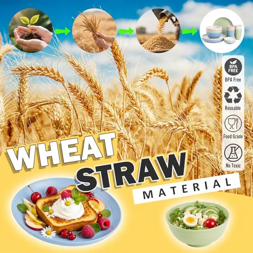 Image of Wheat Straw Dinnerware Sets for 4, 16 Piece Unbreakable Kids Dinnerware Set, Toddler Plates and Bowls Sets, Kitchen Plates and Bowls Set, Lightweight Dish Set for Travel Camper Dishes - Colorful