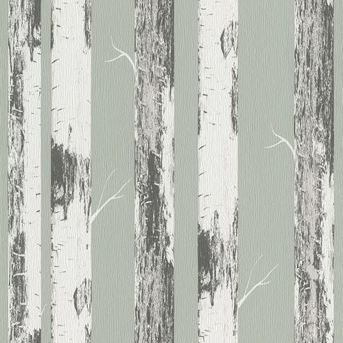home style Tapete 285413 - Grüne Papiertapete mit Birkenstämmen, Birkenwald - 10,05m x 0,53m