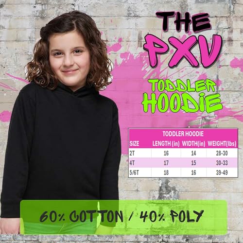 Dallas Football Established 1960 Toddler-Sized Hoodie, Soft Fleece, Adorable3