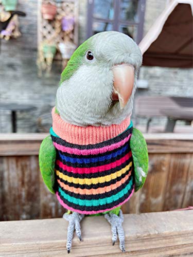 Image of Parrot Bird Supplies - Warm & Comfortable Tiger Skin Clothes for Green Cheek, Little Sun, Monk, Starling, Mynah & Senegal Parrots - Mini Macaw Sweater (L)