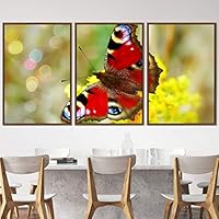 3 Piece Framed Canvas Wall Art Colorful Butterfly Insects Canvas Prints Home Artwork Decoration for Living Room,Bedroom - 16