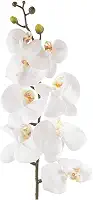 Orquídea Branca Artificial Grande para Arranjo