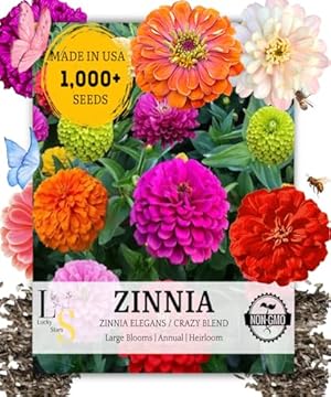 best flowers for full sun and heat