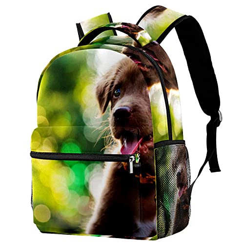 Sac à dos voyage petit chien anti-fuite pour sortie extérieure enfant