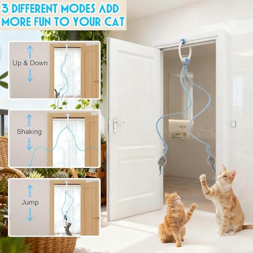 Corde électronique pour chat : la solution anti-ennui pour libérer son énergie - 4